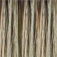 Load image into Gallery viewer, Angelica Wig